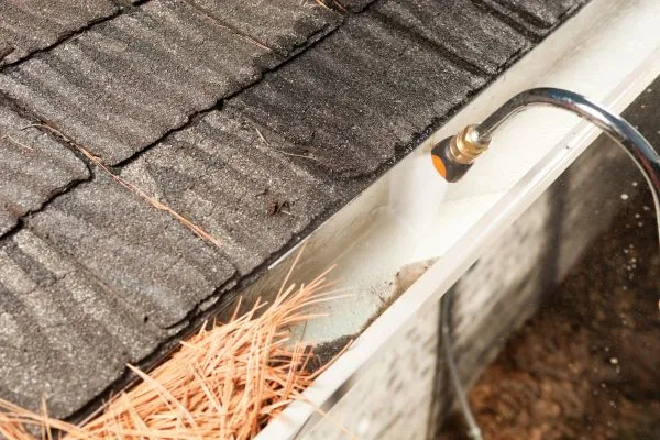 Gutter Cleaning grifton nc