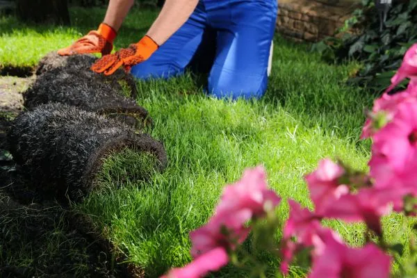 Sod installation provide Instant Results