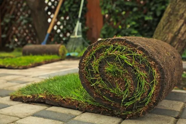 Superior Quality Sod Installation in grifton nc