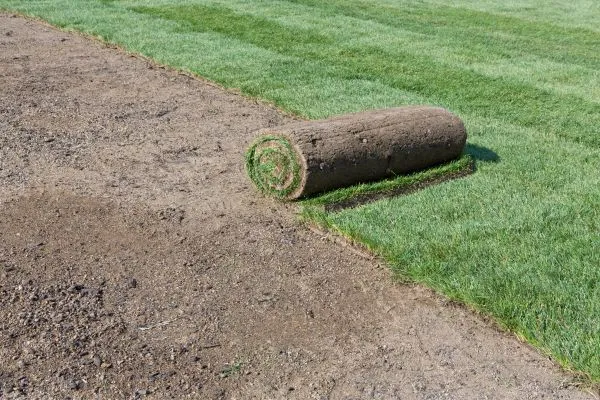 sod Control Erosion of site