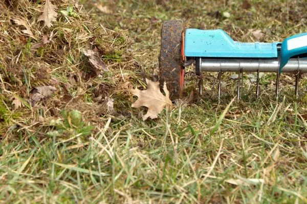 Aeration and Overseeding in Vanceboro NC