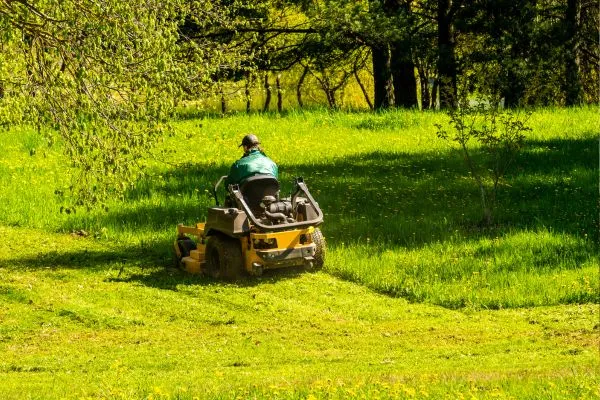 Lawn Mowing service in Washington NC