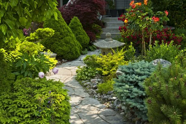 Planting and Garden Design