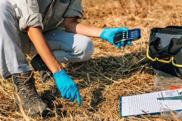 Site Analysis For landscaping in Bethel NC