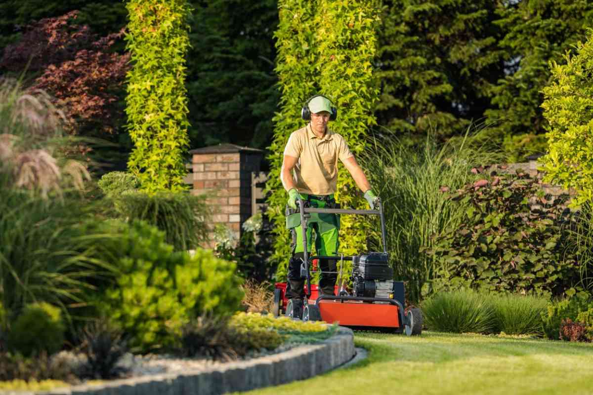 Top dogs Landscaper in North carolina