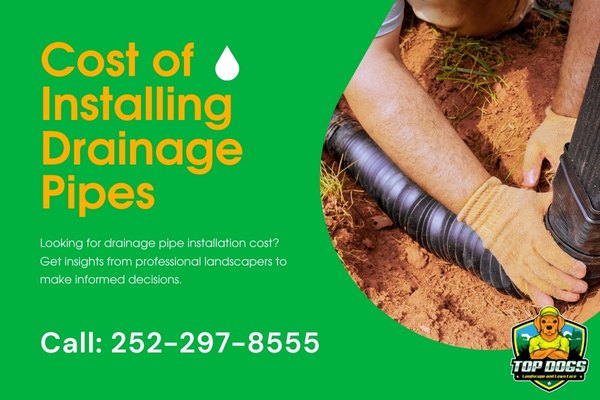 Cost of Installing Drainage Pipes