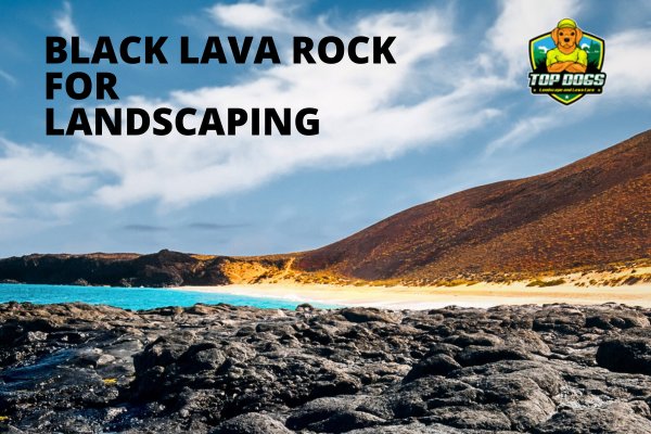 black lava rock for landscaping